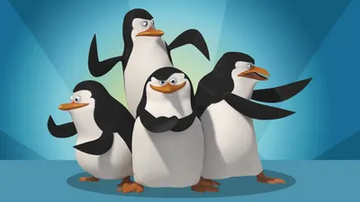 Обои мультфильм, пингвины мадагаскара на рабочий стол