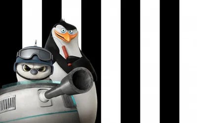 Обои \"Пингвины Мадагаскара: Фильм\" на рабочий стол, скачать бесплатно  лучшие картинки Пингвины Мадагаскара: Фильм на заставку ПК (компьютера) |  mob.org