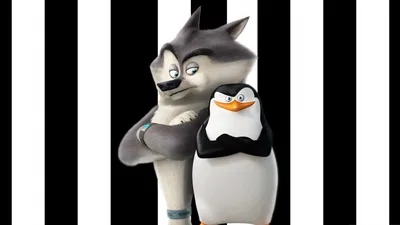 Обои на монитор | Фильмы | забавные, пингвины, Мадагаскара