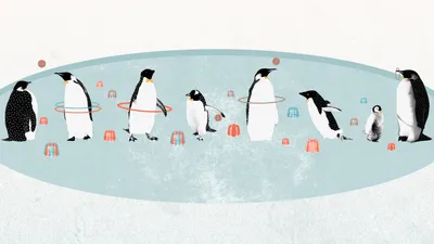 Скачать обои Пингвины мадагаскара (Пингвины, Мадагаскар) для рабочего стола  1280х1024 (5:4) бесплатно, Картинки Пингвины мадагаскара Пингвины,  Мадагаскар на рабочий стол. | WPAPERS.RU (Wallpapers).