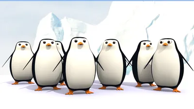 Пингвины мадагаскара обои на рабочий стол