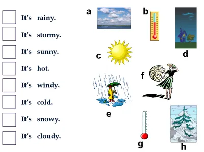 Английские пословицы о погоде, или почему с неба падают кошки | Блог об  английском языке от EasySpeak