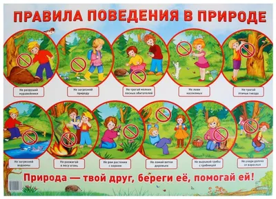 материал для классного уголка 2 класса в начальной школе: 10 тыс  изображений найдено в Яндекс.Картинка… | Правила класса, Школьные  мероприятия, Классное руководство