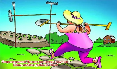 Смешные анекдоты и реальные истории на даче | Дачные советы от PartPrice.ru  | Дзен