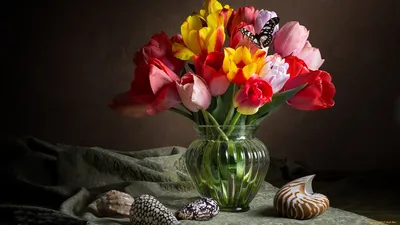 Обои Цветы Тюльпаны, обои для рабочего стола, фотографии цветы, тюльпаны,  разноцветные, бутоны Обои для рабочего стола, скачать обои картинки  заставки на рабочий стол.