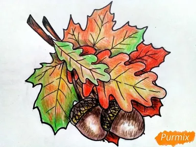Осенний набор рисованной наклейки для бесплатного скачивания PNG , осенняя  наклейка, стороны на осень, Осенний стикер рисованной PNG картинки и пнг  PSD рисунок для бесплатной загрузки