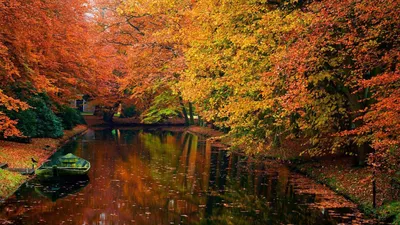 Обои на рабочий стол Осень золотая – Осенний парк (2560×1600)