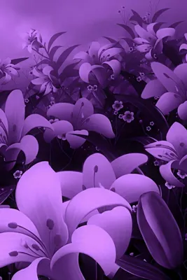 Сиреневые цветы - Картинка на телефон / Обои на рабочий стол №1024178
