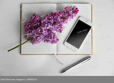 Фиолетовые сиреневые цветы, телефон, блокнот и ручка на белом фоне ::  Стоковая фотография :: Pixel-Shot Studio