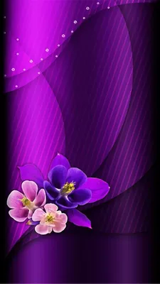 29+ Фиолетовая Эстетика обои на телефон от zinaida96