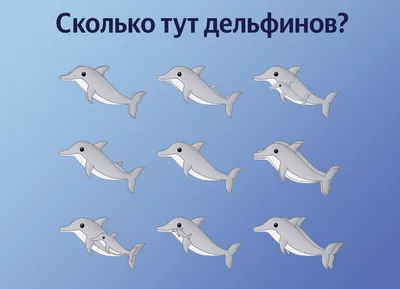 Сколько дельфинов на картинке фотографии