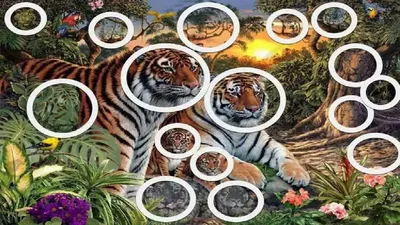 Сколько тигров на картинке? – Telegraph