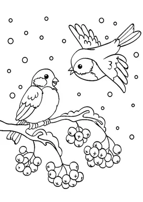 Снегирь на ветке рябины рисунок - 54 фото