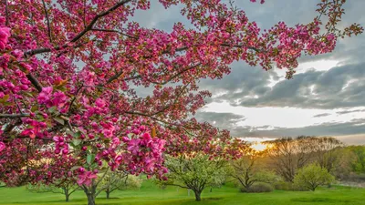 Весна - время пробуждения природы» — создано в Шедевруме