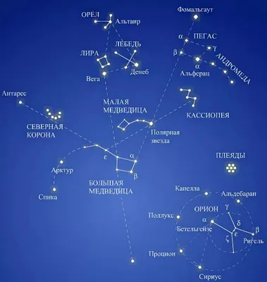 Какие созвездия можно увидеть летом, осенью, зимой и весной | Созвездия  Северного полушария | Star Walk