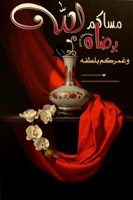 Pin by ranya anis on صباحيات و مسائيات | Good morning images flowers, Good  evening greetings, Good morning images