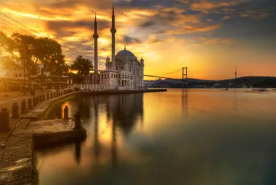 Картинка Стамбул Птицы Мечеть Турция Храмы Дома Облака 1920x1139