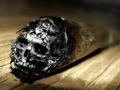🚬Страшные картинки и пугающие надписи на пачках сигарет размещают по всему  миру. Но неужели всё это — правда? :: Администрация Крымского района