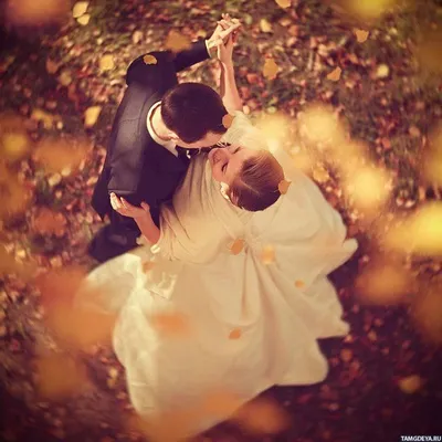 Парень_и_девушка, #Осень, #Свадьба, #аватары, #картинки, #фото, #авы,  https://avatarko.ru/kartinka/14428 | Романтическая фотография, Свадебные  фотографии, Свадьба