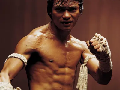Мастер боевых искусств: фото Тони Джа во время тренировки