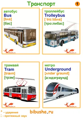 Плакаты (английский). Urban Transport (Городской транспорт) (44 х 59 см)