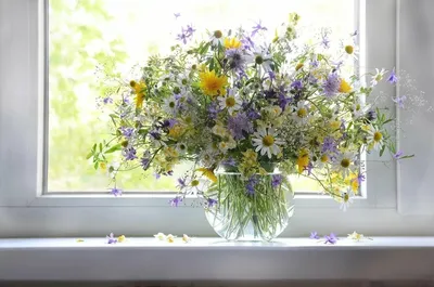 Цветы на окне - 73 фото