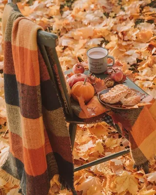 Осенний уют - красивые фото