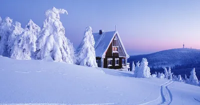 Фото ели Зима Природа снегу Здания Времена года 2048x1333