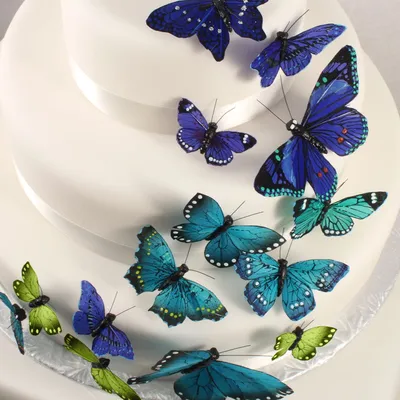 Торт с бабочками из вафельной бумаги - заказать по цене 2600 руб. за 1кг с  доставкой в Москве