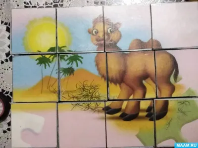 Просмотр хвоста зоопарка альпаки PNG , верблюд, Рисунок фотография,  питающий PNG рисунок для бесплатной загрузки