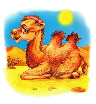 морда верблюда в загоне, картинка верблюда, верблюд, животное фон картинки  и Фото для бесплатной загрузки