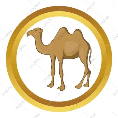 Верблюд — стоковые фотографии и другие картинки Верблюд - Верблюд,  Горизонтальный, Губы человека - iStock