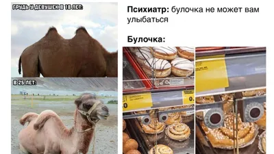 russian по низкой цене! russian с фотографиями, картинки на верблюда  картина маслом.alibaba.com