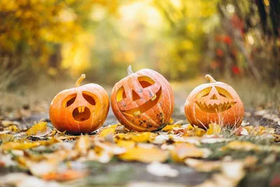 Страшно красивые и ужасно весёлые: 5 простых идей детских костюмов на  Хэллоуин