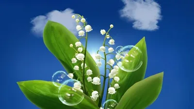 вертикальные весенние фотографии картина цветение вишни роман телефон обои  Фон И картинка для бесплатной загрузки - Pngtree