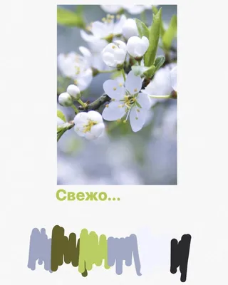 Силиконовая форма \"Весна на носу\", 8,5х6,5 см, цвет прозрачный - купить по  низкой цене в интернет-магазине OZON (879530499)