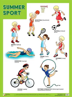 Иллюстрация 3 из 8 для Развивающие карточки \"Виды спорта\" (12 штук)  (41556-50) | Лабиринт - игрушки.