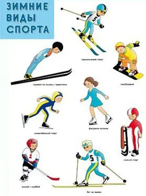 Зимние виды спорта картинки для детей в школу, в детский сад