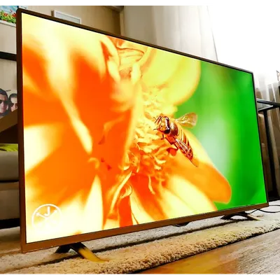 Как убить телевизор за 15 минут после покупки | Пикабу