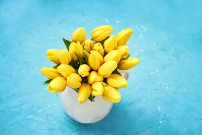Яркие желтые тюльпаны на фоне синего неба - обои на рабочий стол
