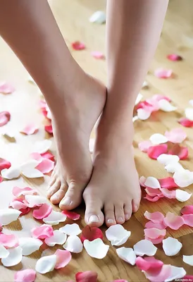 Женские ножки среди лепестков цветов — Авы и картинки