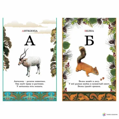 Развивающий алфавит для детей. Животные на букву А - Мультипедия животных -  YouTube