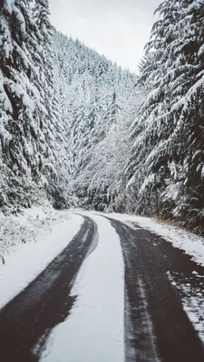 Скачать 938x1668 дорога, снег, деревья, зима обои, картинки iphone 8/7/6s/6  for parallax