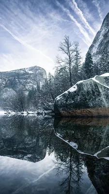 Зима, отражение, серый Обои 1080x1920 iPhone 6 Plus, 7 Plus, 8 Plus