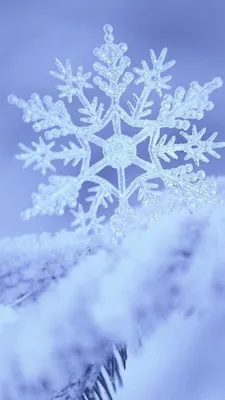 Зима обои на iPhone X / XS, лучшие 1125x2436 картинки | Akspic