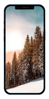 Силиконовый чехол Clear для iPhone 11 Pro зима пришла New Year