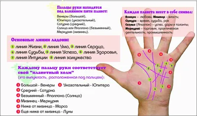 Что означают линии брака на руке - как читать линии на руке - Главред