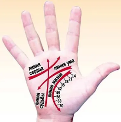 Тест: О чём говорят линии на вашей руке?