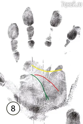 Иллюстрация 1 из 18 для Обучающая пропись по развитию моторики руки у  дошкольников - Инна Бельская |