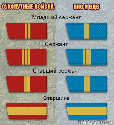 Звания в ВСУ: погоны и военные звания в армии Украины